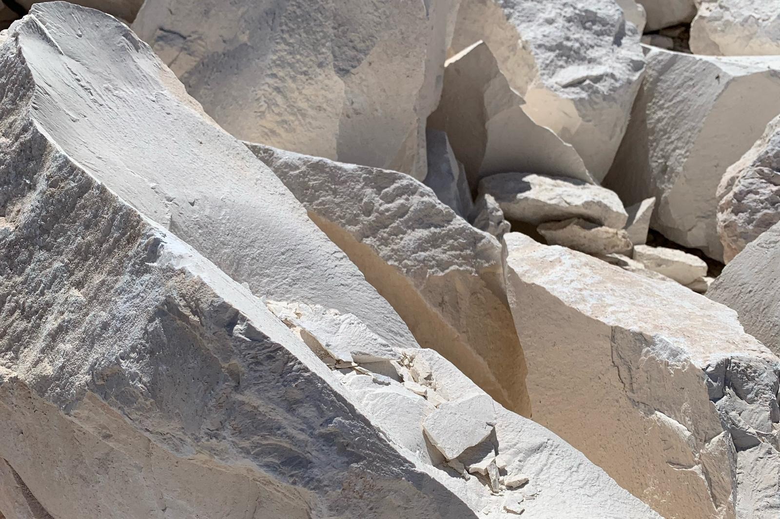 The Venetian Plaster Company