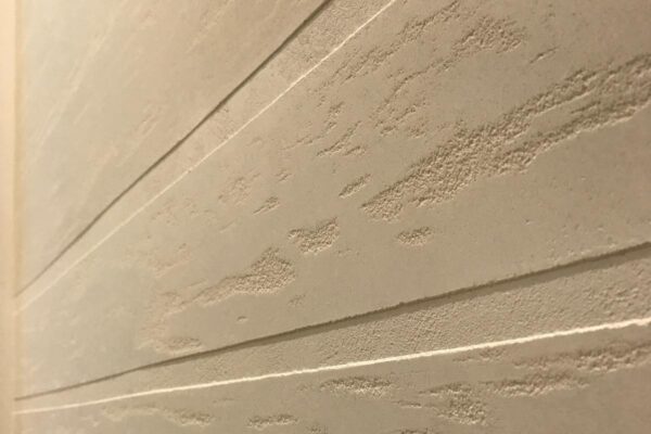 The Venetian Plaster Company